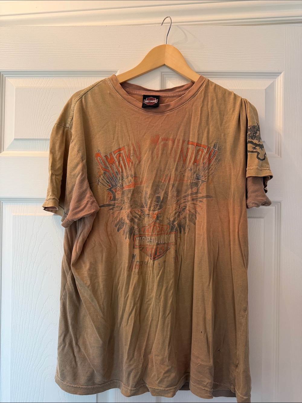 Harley-Davidson Men's Faded Brown Graphic Tee with Orange Accents